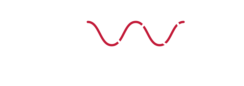 TheWoice · soluzioni web in voce